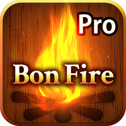 BonFire3D Pro