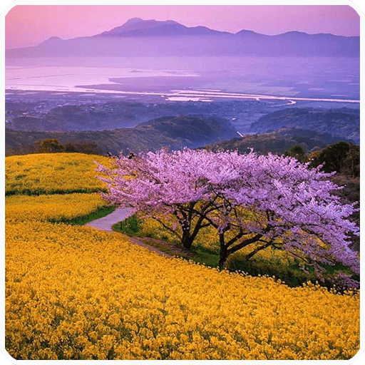 Jigsaw Planet Mod APK Remove ads v2.0 screenshot