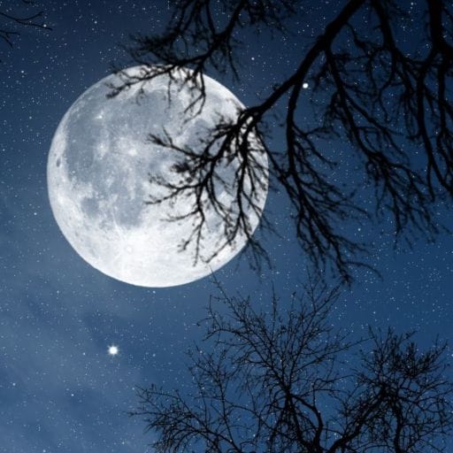 Relax Night MOD APK Premium Unlocked v5.14.0 screenshot